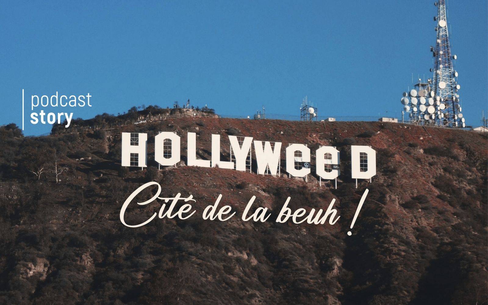 HOLLYWEED, CITÉ DE LA BEUH !