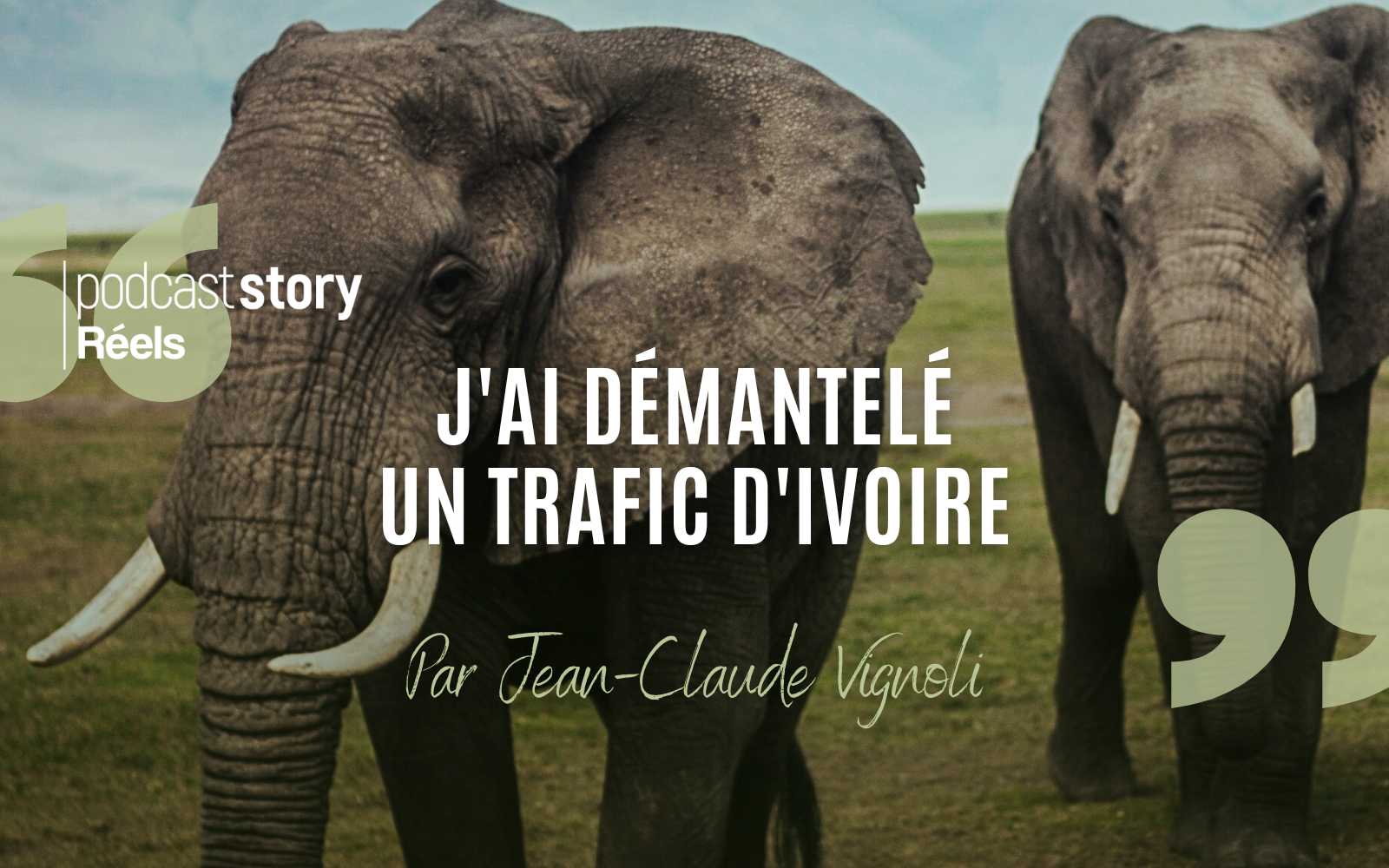 J’AI DÉMANTELÉ UN TRAFIC D’IVOIRE, Par Jean-Claude Vignoli