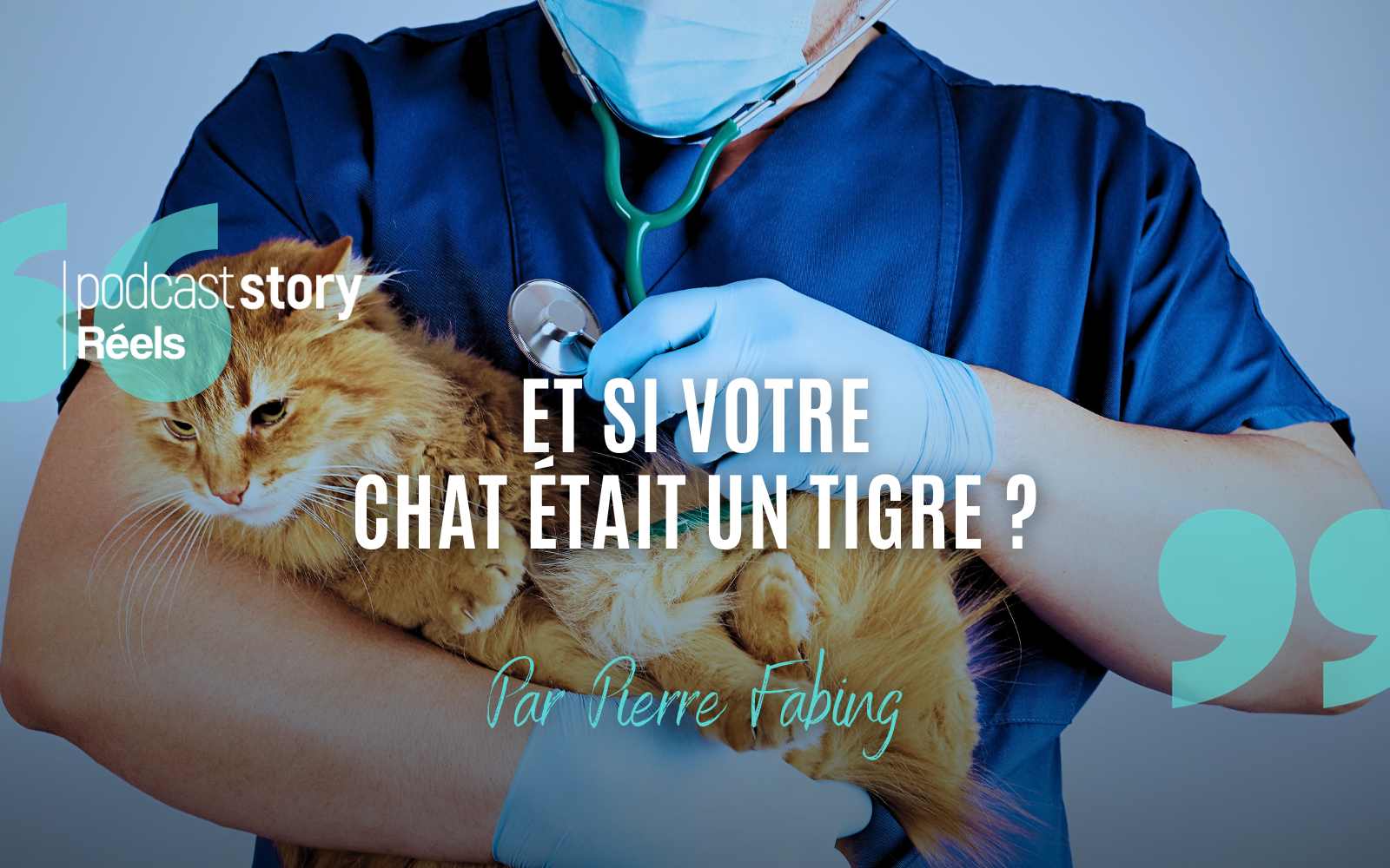 ET SI VOTRE CHAT ÉTAIT UN TIGRE ? – Par Pierre Fabing