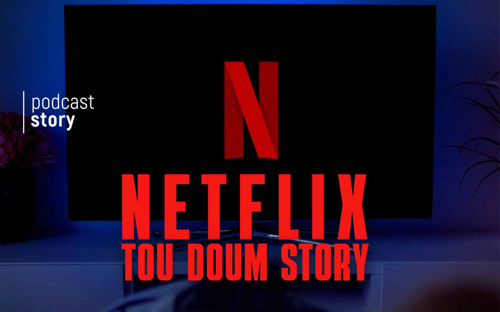 NETFLIX, TOU DOUM STORY !